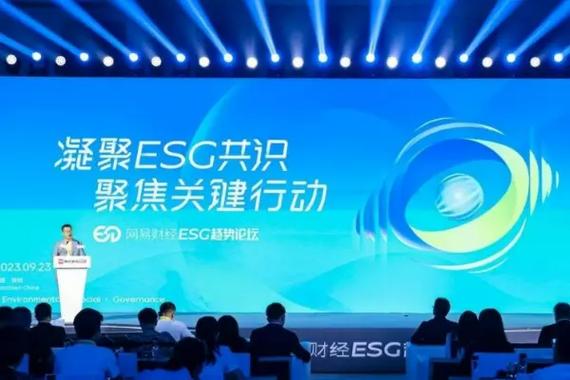 新浪财经,网易财经,财经库这些网站可以查看某股票以往价格吗?怎么查 ... 新浪财经,网易财经,财经库这些网站可以查看某股票以往价格吗?怎么查 ...