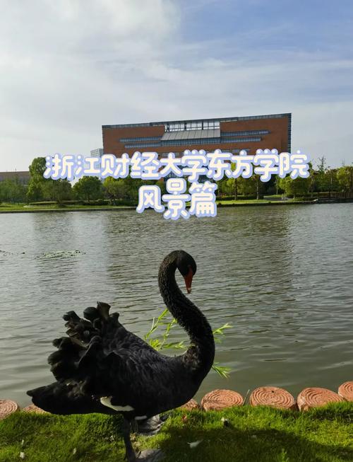 浙江财经大学东方学院教务系统详解