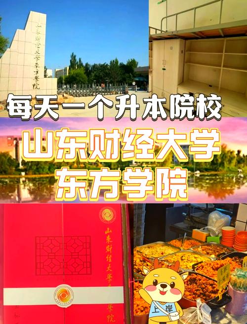 山财东方学院为什么不转设
